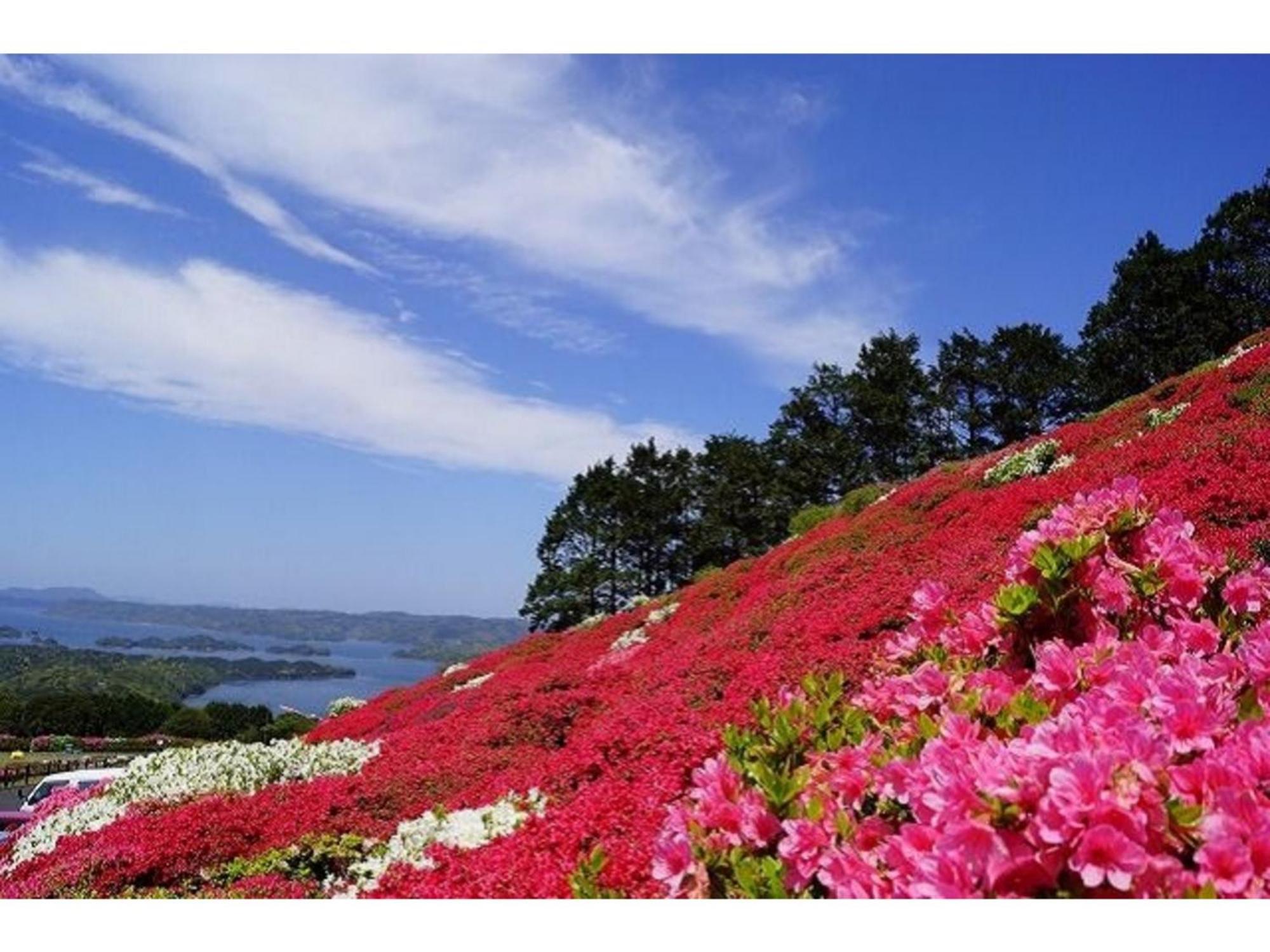 The Paradise Garden 사세보 외부 사진